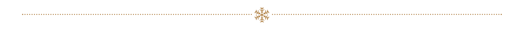The Briny Christmas web page Divider